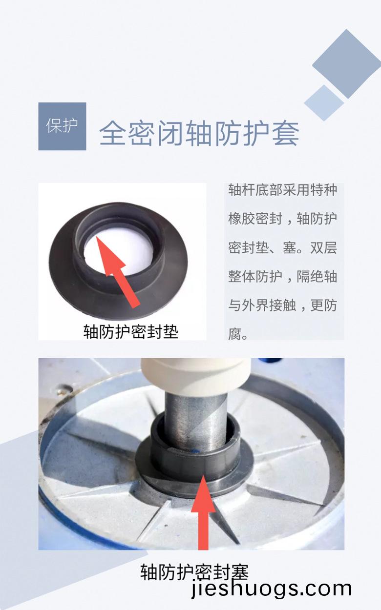 大流量廢氣(qi)墖(ta)專(zhuan)用(yong)水泵(beng)