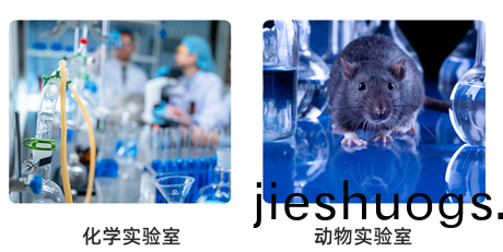 噴(pen)痳墖(ta)廠傢(jia)